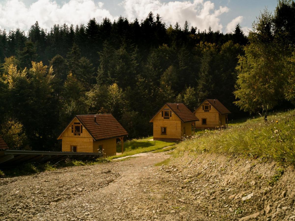 Jezowa Woda Osrodek Wypoczynkowy Palmiarnia I Spa Przyszowa  ภายนอก รูปภาพ